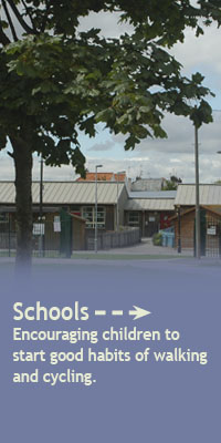 Schools